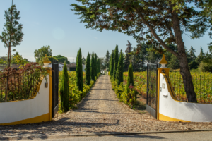 Portugal EasyCamp